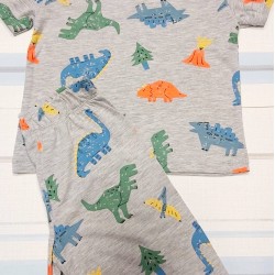 Детски летен комплект в сиво с динозаври Детски летен комплект в сиво с динозаври