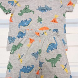 Детски летен комплект в сиво с динозаври Детски летен комплект в сиво с динозаври