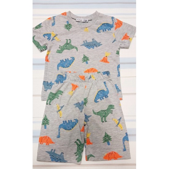 Детски летен комплект в сиво с динозаври