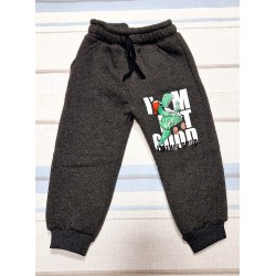 Детско ватирано сиво долнище с динозавър Детско ватирано сиво долнище с динозавър